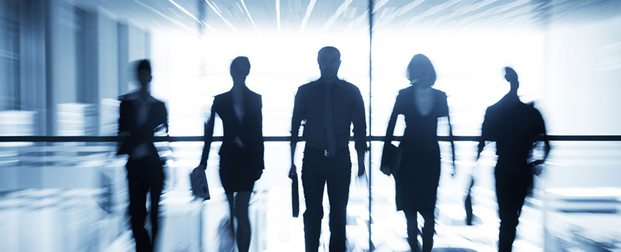 Meet The Marktech Team